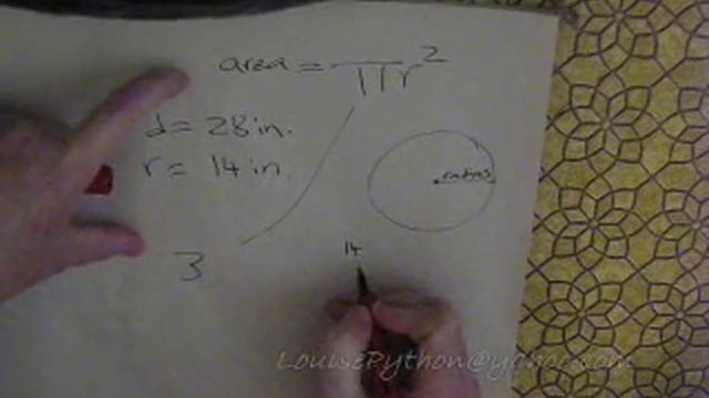 Number of rubber ducks that fit in a circle Louise Python made смотреть онлайн