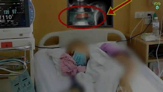 Хабиб Нурмагомедов Жестко Ответил Макрону! Смотреть ВСЕМ Мусульманам! смотреть онлайн