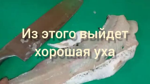 ЩУКА КАК ПОЧИСТИТЬ щуку И СНЯТЬ ФИЛЕ РЫБЫ приготовить КОТЛЕТЫ из щуки❤?ПОСТАВЬ?❤❤ смотреть онлайн