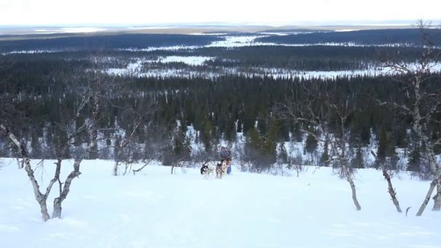 Песнь ветра смотреть онлайн