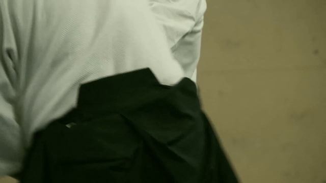 Айкидзюдзюцу, Айкидо, Японские единоборства. Вольф Валерий Павлович, Санкт - Петербург, смотреть онлайн