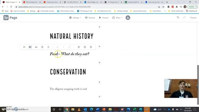Endangered Species Project - PT 3 - Website Instructions смотреть онлайн