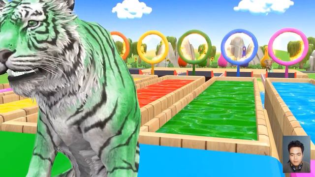 Long Slide Game With Elephant Gorilla Buffalo Hippopotamus Tiger - 3d Animal Game - Funny 3d Animal смотреть онлайн