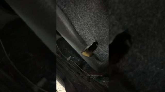 Замена троса багажника Accent Hyundai.