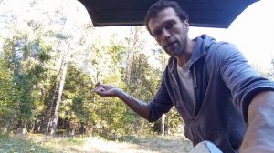 Что взять с собой в лес, защита от дикого зверя