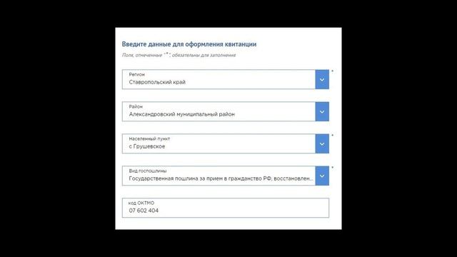 Как заплатить госпошлину за гражданство РФ в 2021 году смотреть онлайн