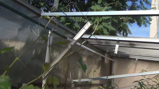 12 июня. Цветём. Плюсы и минусы теплиц смотреть онлайн