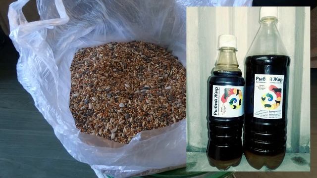 CLO как выбрать лучший бердфуд? как улучшить птичий корм для бойлов? смотреть онлайн