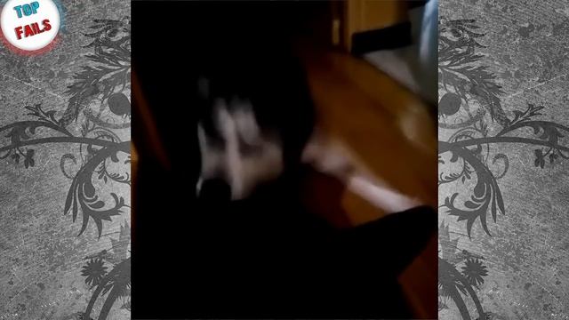 Как стать мастером каратэ за 5 минут ! Лучшие Приколы за Декабрь 2016 Часть 7 ||Top Fails|| смотреть онлайн