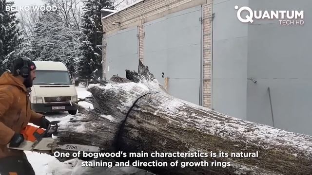 Very Expensive Wood From 5000 Years Ago Black Oak | by @BelkoWood смотреть онлайн