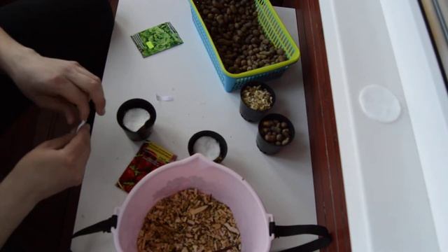 Посадка под Гидропонику смотреть онлайн