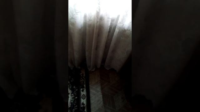 Пытался найти айфон под подушкой...вот что получилось! смотреть онлайн