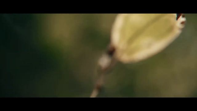 K-391 & Alan Walker - Ignite (feat. Julie Bergan & Seungri)