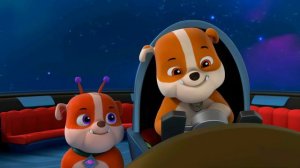 #ЩЕНЯЧИЙ#ПАТРУЛЬ#PAW#PATROL#NITOCHKA#ELEMENT#VK