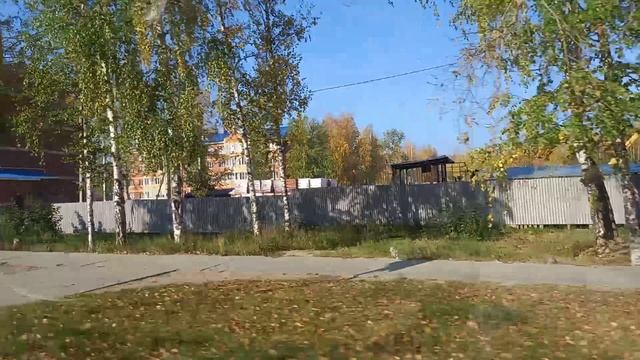 Краски природы.