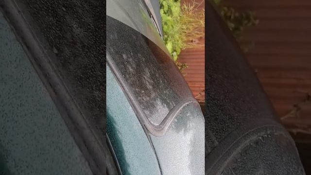 Момо цунами 12ки,2111,автозвук болезнь, валит, архангельск смотреть онлайн