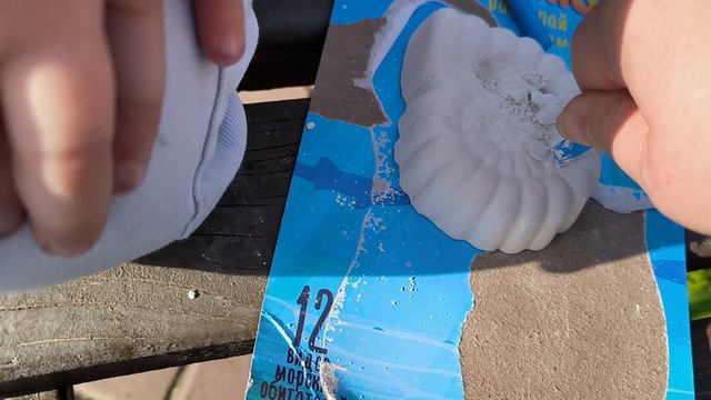 Раскопки древних окаменелостей. Тайна моря. Кто же внутри