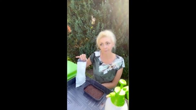 Микрозелень. Секреты красивой микрозелени на примере редиски. Важные моменты, которые упускают. смотреть онлайн