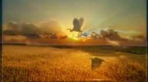 Дом восходящего солнца - русский текст