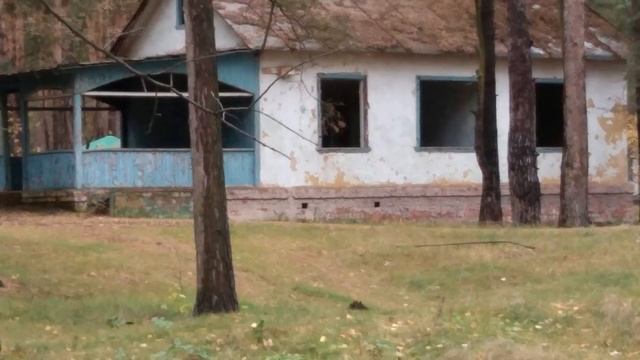 Заброшенный пионерский лагерь Чайка. Володарский район смотреть онлайн