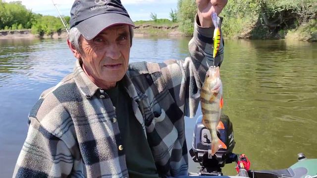 Лодочный Сезон Открыт 2021. Этот воблер Сделал всю Рыбалку. ВОБЛЕР SALMO PERCH PH8DR HFT смотреть онлайн