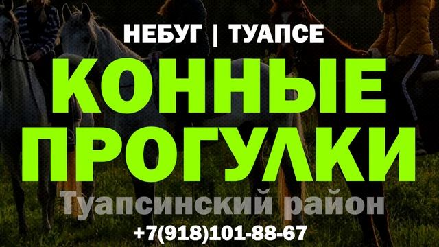 Конные прогулки в Небуге (Туапсе) 2023 смотреть онлайн