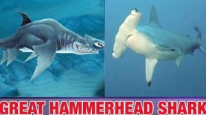 All Hungry Shark World in Real Life  !!! NEW 2017 !! 2018 | All Sharks