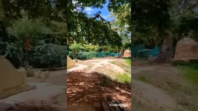 #shots #song# смотреть онлайн