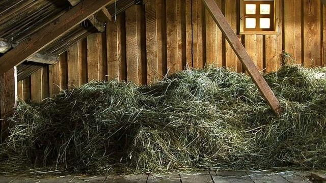 ЧИТАЕМ ФАНФИК ПРО ТЭХЁНА, Т/И И БАБУЛЮ смотреть онлайн