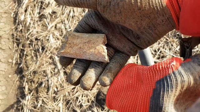 Berserker Metal Detecting UK 18 XP ORX! Double silver and Roman! смотреть онлайн