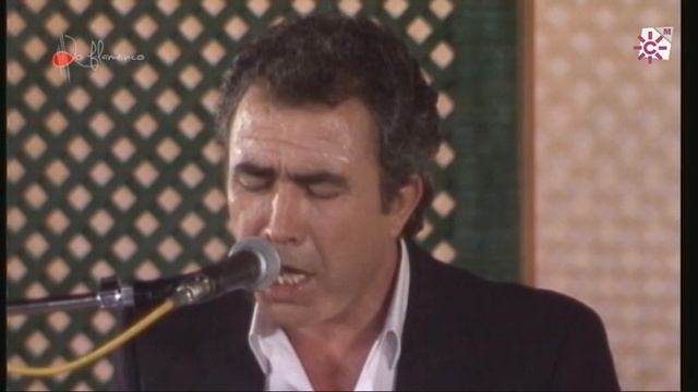 Soleá. Paco Taranto. 1989 смотреть онлайн