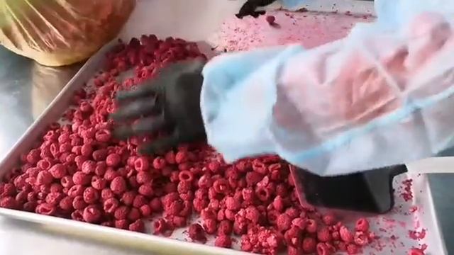 Как заморозить сухие ягоды? Как заморозить сухофрукты? Как заморозить сухой корм?