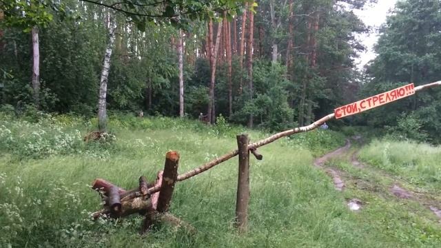 Бобры или строим плотину смотреть онлайн