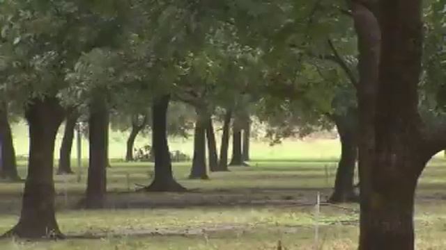 OETA Story on Pecan Crop in Oklahoma aired on 10/13/09 смотреть онлайн