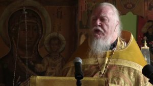 Протоиерей Димитрий Смирнов. Проповедь на Прощеное воскресенье (2016.03.16)