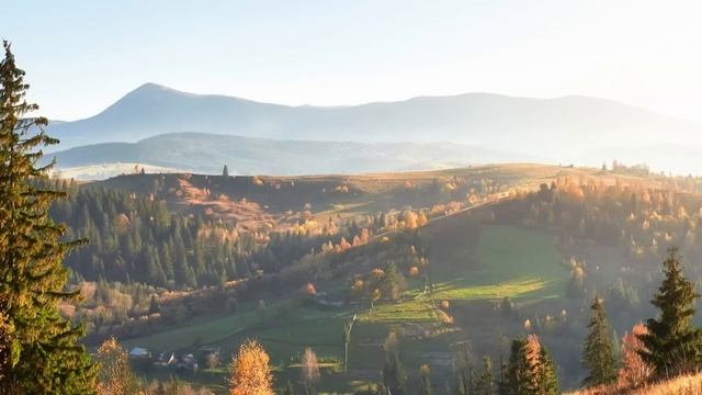 Почувствовав неладное, Таня решила разыграть жениха, но от вскрывшейся правды глаза на лоб полезли смотреть онлайн