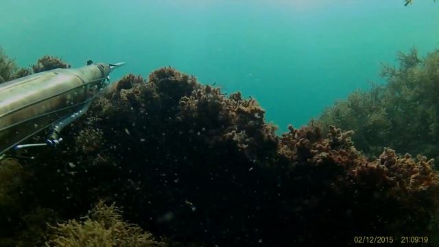 ход рыбы в черном море, ноябрь 2015 года смотреть онлайн