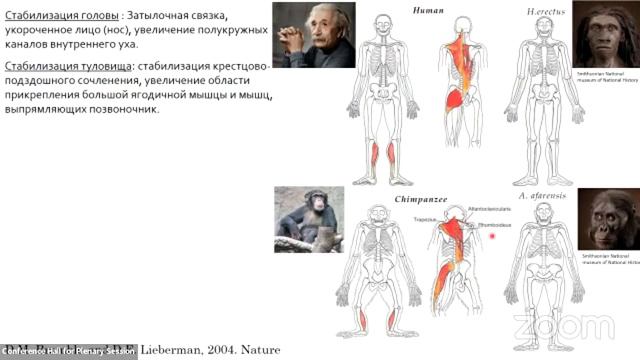 Елизавета Куликова "Бежать, думать, эволюционировать" смотреть онлайн
