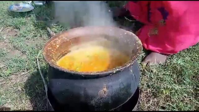 Farm Fresh Ridge Gourd | அழகான தோட்டத்தில் பீர்க்கங்காய் கூட்டு | Peerkangai Kootu Recipe in Tamil