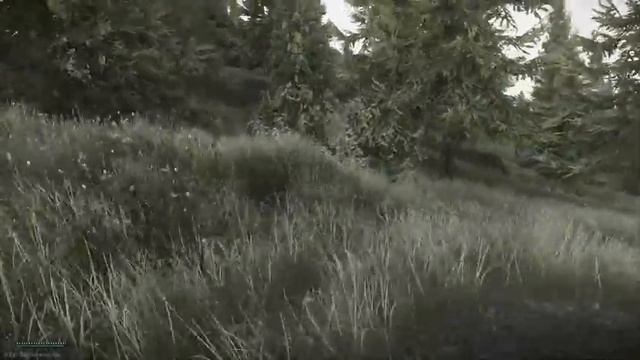 Escape from tarkov BETA!!!! day 6 (svacs 1 TAPS festival + 2 sv 98 looted) chunkie смотреть онлайн