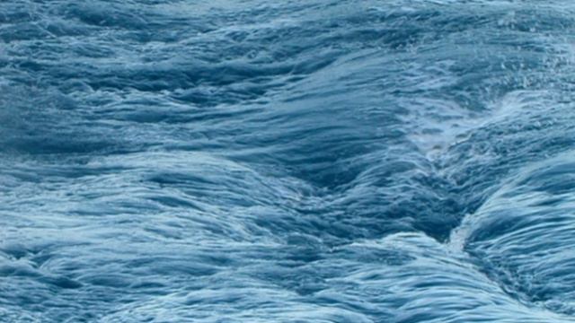 Вода-красота всей природы (Всемирный День океанов) Козловская СБ смотреть онлайн