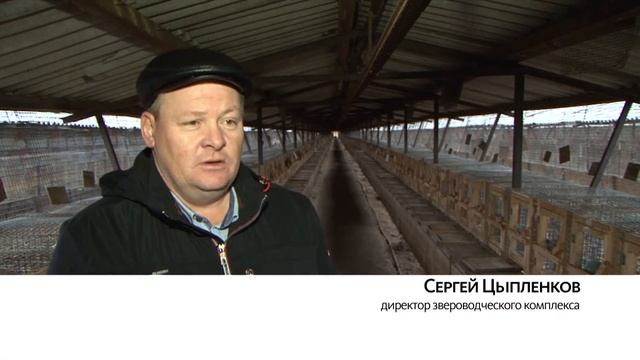 Рассказываем о работе соболиной фермы в Алтайском крае смотреть онлайн
