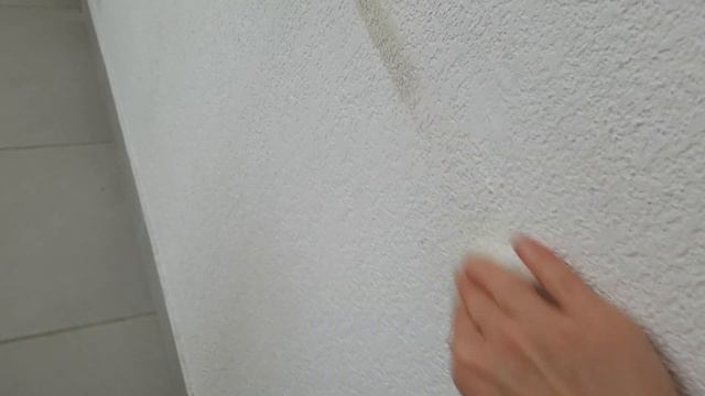 КАК за 1 СЕКУНДУ отмыть СТЕНЫ и ОБУВЬ от грязи, ручки, фламастера... ЛАЙФХАК от Elena France смотреть онлайн