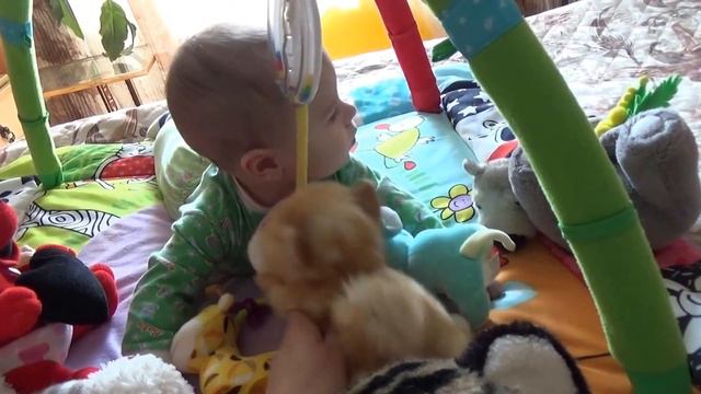 ВЛОГ Владик играет с мягкими игрушками зверюшками VLOG Vlad Plays With The Soft Toys Of Baby Animal