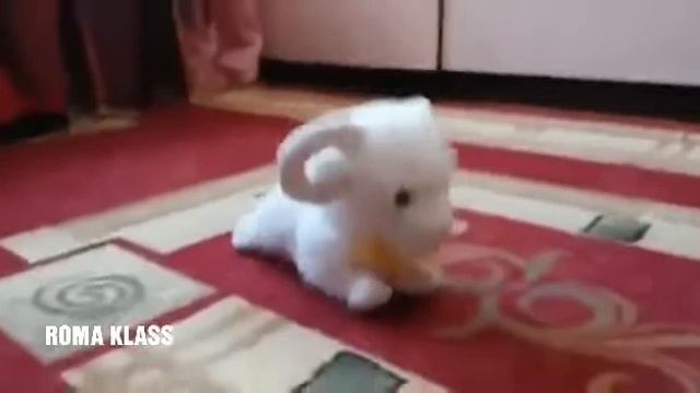 ЕСТЬ ТАКИЕ МОМЕНТЫ КОГДА ОТ СМЕХА МОЖНО ОБОСРАТСЯ :-D°°°° смотреть онлайн