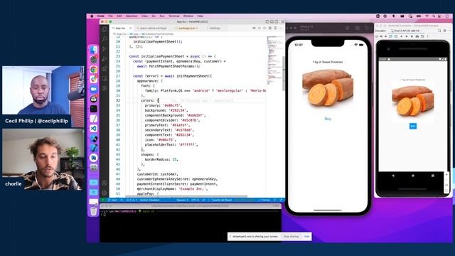 React Native - How to customize your payment sheet смотреть онлайн