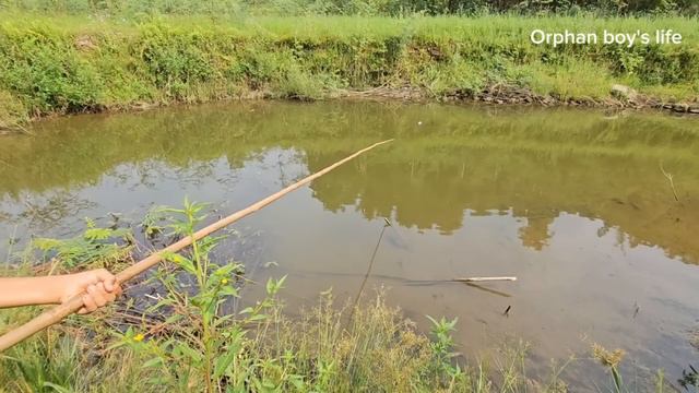 Full VIDEO: Orphan Boy's Life - Wandering Alone Picking Fruit, Going Fishing To Sell