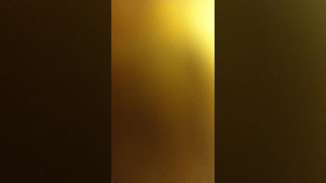 moody blues-nights in white satin on alto saxophone смотреть онлайн