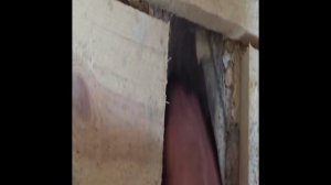 Утепление пола опилками, мой опыт