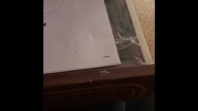 Почему горит шоколад!!! смотреть онлайн
